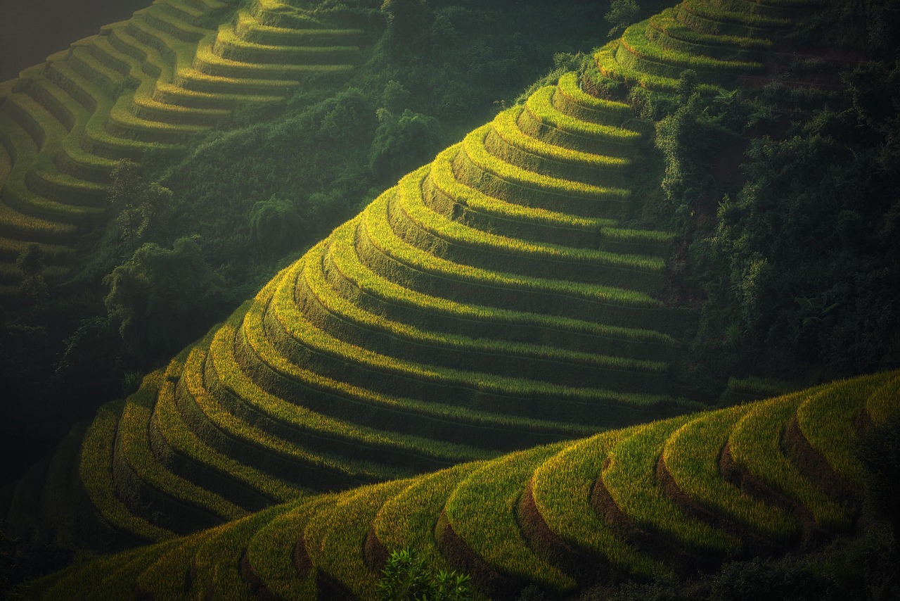 High Performance Crops